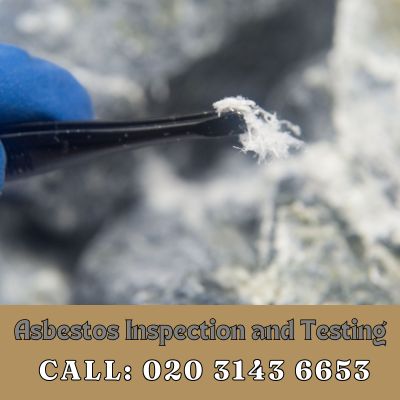 Comprehensive Asbestos Inspection and Testing Services in Norbiton